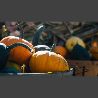 Are We Overdoing the Anti-Prosperity Gospel Theme?