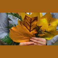 Christian Thankfulness: What It Is (and Isn’t)