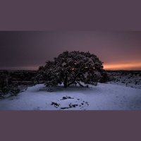 Your Suffering Is Working for You