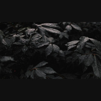 Is My Husband’s Porn a Marriage Deal-Breaker?