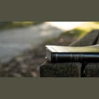 Should I Read My Bible Daily?