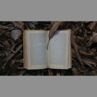 On Creepy, Darker Media