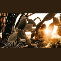 6 Tips If You Find the Bible Hard to Read