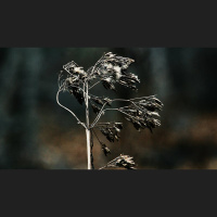 When Should I Stop Praying for Something?