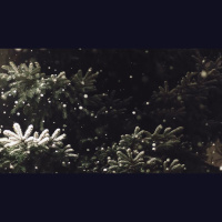 The Christmas We Needed