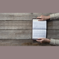 I Read the Bible and Feel Nothing — What Should I Do?