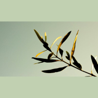 How Do I Become Happy in God?