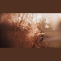 What’s Stopping You from Coming to Christ?