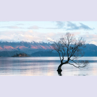 The High Cost of Sexual Sin