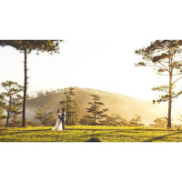 Is Song of Solomon an Allegory?