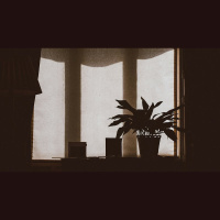 ‘Help, I’m Struggling to Believe Anything Is True’