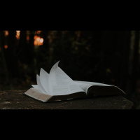 How Do We Discern False Teachers?