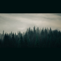 Is Something Evil Only If It Harms Others?