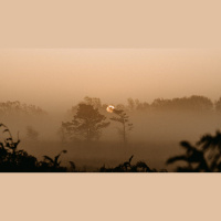 Does God Send ‘Strong Delusions’ into the World?