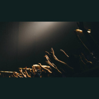 Should We Raise Our Hands in Worship? 