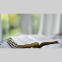 Beat a Path to the Word in 2023