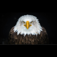 Slavery, Oppression, and America’s Prosperity 