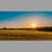 Does God Love the Non-Elect? 