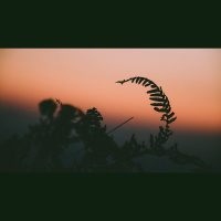 When Does Despondency Become Sin?