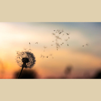 My Joy Is So Short-Lived — How Do I Make It Last?