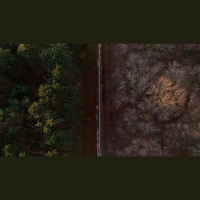 Controversy Is Essential — and Deadly