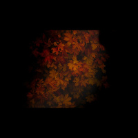 My Friend Claims She’s Gay — What Do I Say?