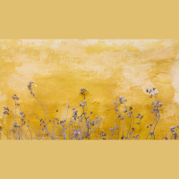 Did Jesus Say I’d Be Healthier If My Faith Were Stronger?