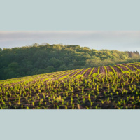 When I’m Bored of the Bible — What Can I Do?