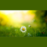 How To Bless Your Pastor