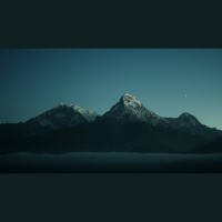 What’s the Point of My Life?