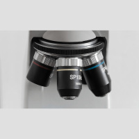 Are IVF Babies Knit Together by God Too?