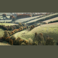 Busy Pastors and Biblical Encounters, Part Two