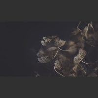 Reckoning with Personal Failure