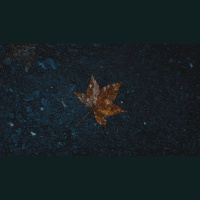 Do My Sins Ruin God’s Plan for My Life?