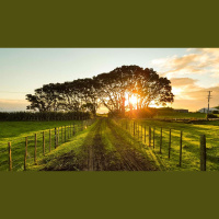 How Real Is the Book ‘Heaven Is for Real’?