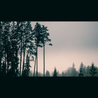 Am I Too Hard on Myself?