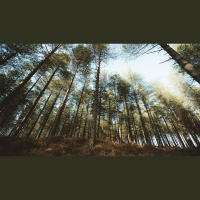 How Do I Grow in Wisdom?