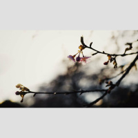 What’s Your Process for Owning Truth?