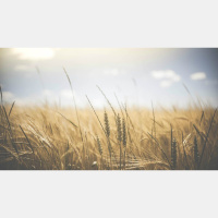 Does John Piper Add (Joy) to the Gospel?