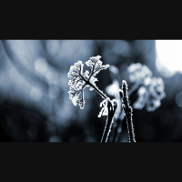 Why Stoicism Is Toxic