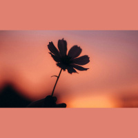 Every Pinch of Pain Has Purpose