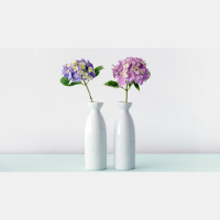 How Self-Esteem Ruins Bible Reading