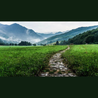 How Do We Walk by the Spirit?