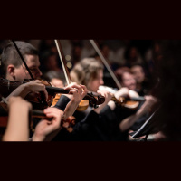 Are Men Superior to Women?