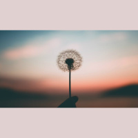 What Will Become of Christian Hedonism After You’re Gone? 