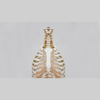 Is Cremation Okay If I Give My Body to Science?