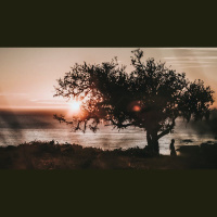 What Do You Say to Evangelicals Who Affirm So-Called ‘Same-Sex Marriage’?