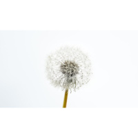 Does John Piper Deny Personal Assurance?