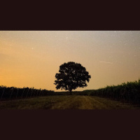 What Is the Meaning of Life?