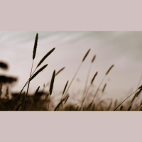 Do Christian Hedonists Deny Self-Denial?